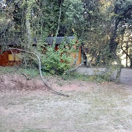 Kamp alanı Manso Coguleras Santa Pau