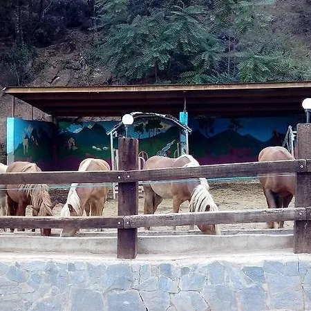 Manso Coguleras